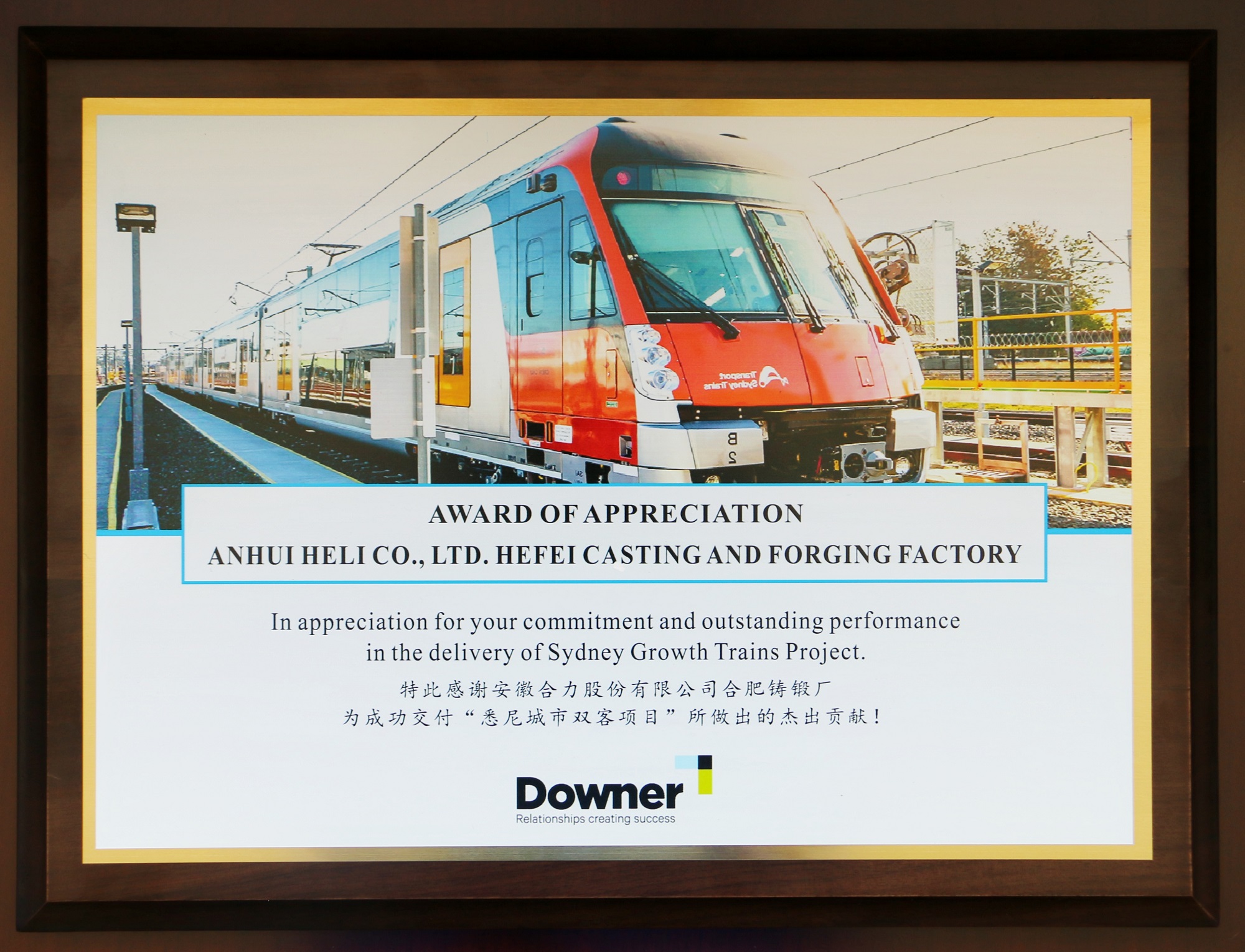 20240823合肥鑄鍛廠獲頒唐納集團(tuán)杰出貢獻(xiàn)獎(jiǎng)?wù)?jpg