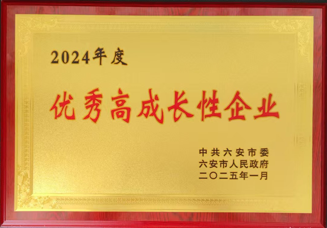 六安鑄造優(yōu)秀高成長性企業(yè).png